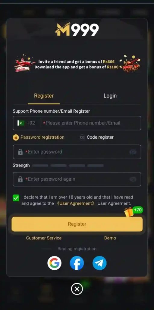 M999 Register